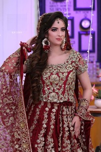 天鹅绒新娘Lehenga Choli重型刺绣作品 & 皇家精品系列