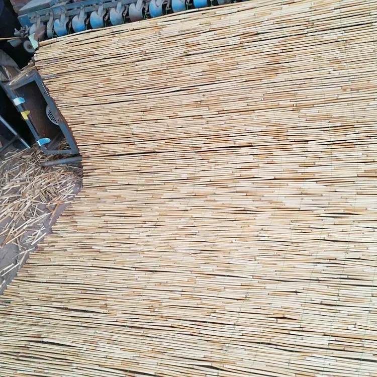 Groothandel Custom Verschillende Grootte Bamboe Riet Hek Roll