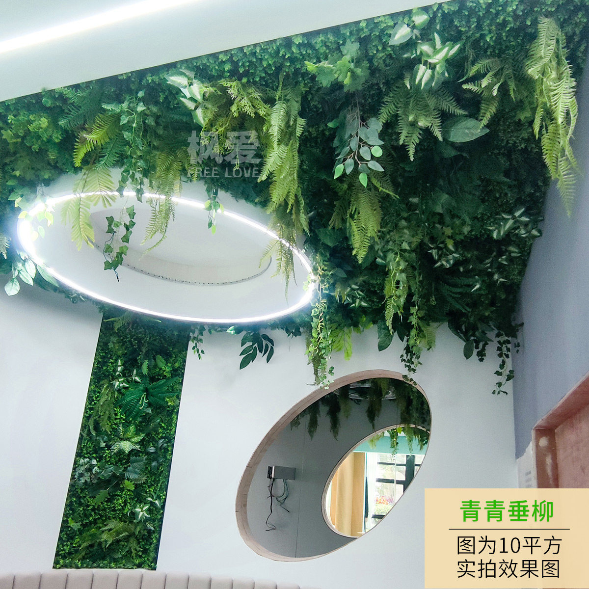 Average price per square meter-qingqing weeping willow