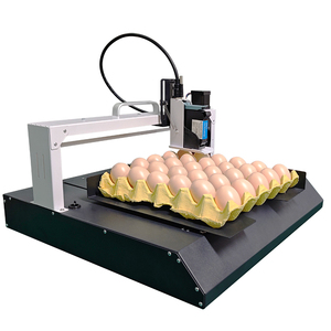 Hoch auflösendes, schnell trocknendes, variables Datum Produktions datum Chargen nummer Logo Egg Coding Stamp ing Machine - Product Image 2