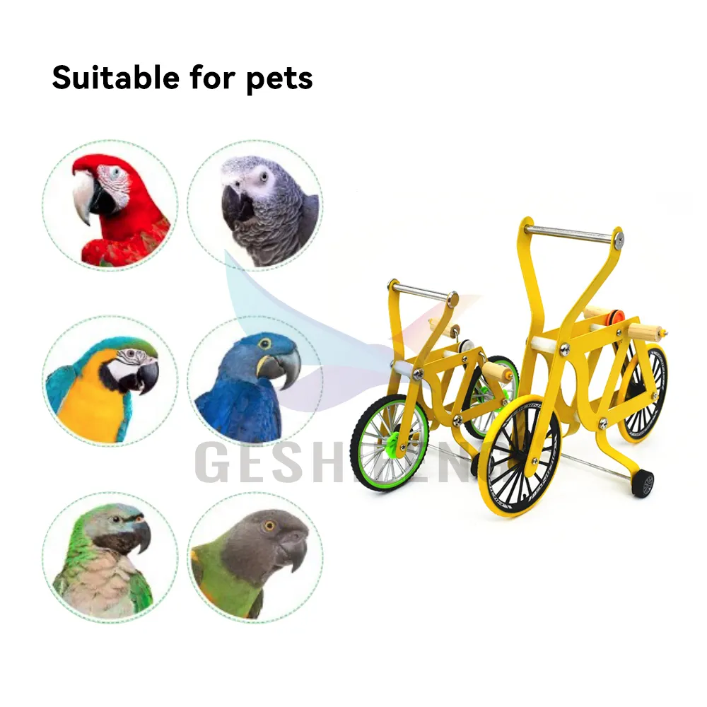 Desain baru hewan peliharaan burung logam plastik kayu hewan Mini burung beo sepeda kreatif menyenangkan mainan untuk burung beo