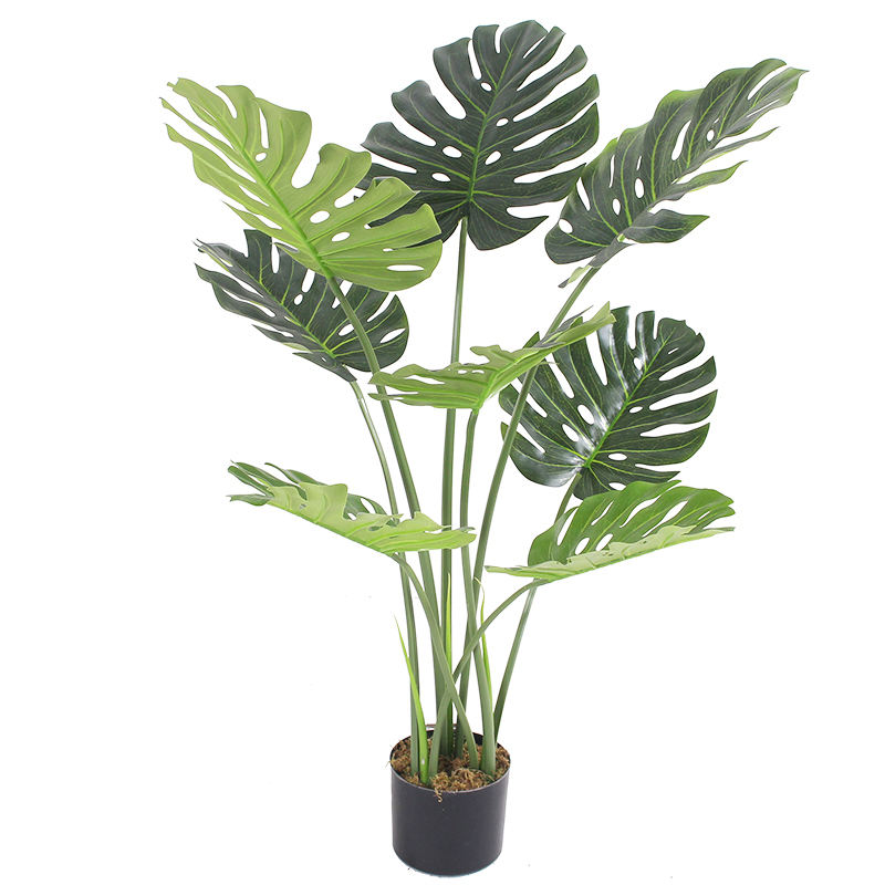 สีเขียว