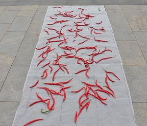 40 Mesh 8 square Meters Drying <strong>Net</strong> for Drying Millet and Sweet Potatoes HDPE Plastic <strong>Net</strong> Is Durable, Lightweight and Fly-proof