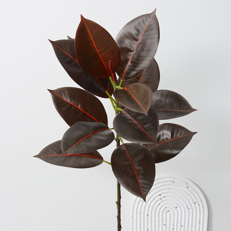 Árbol de caucho con ramas rojas de 90 cm de largo.