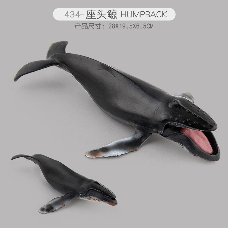 PL127-434 Baleine à bosse 282g