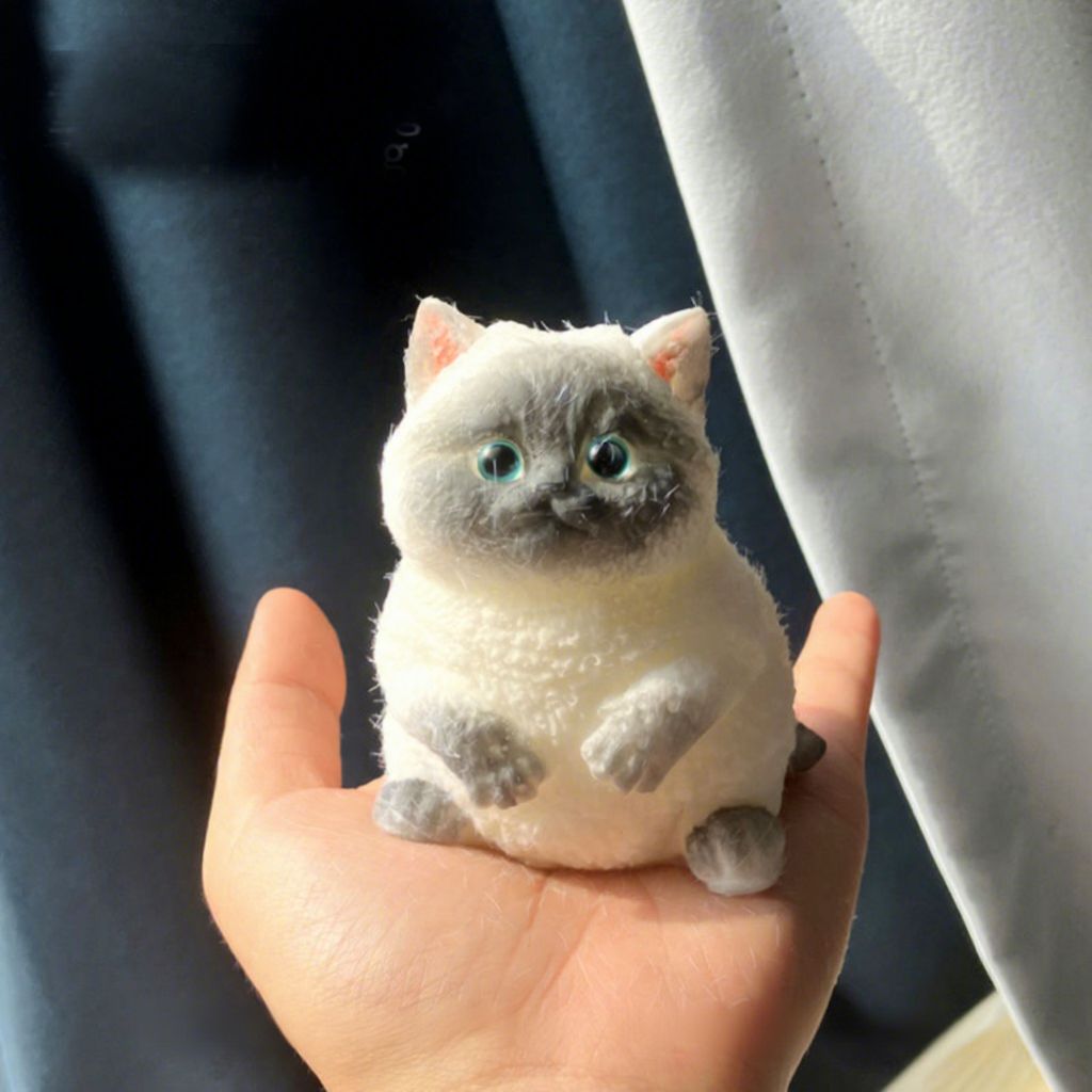 Chat siamois coloré