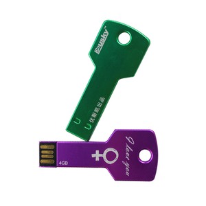 激光金属钥匙形状usb 16mb usb pendrive pendrive带钥匙扣小工具通用闪存盘 - Product Image 5