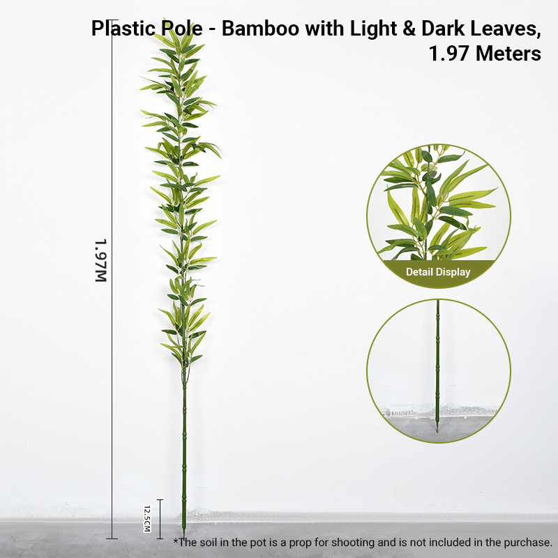 Tige en plastique peu profonde phyllostachys pubescens -1,97 m