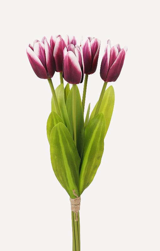 Violet foncé
