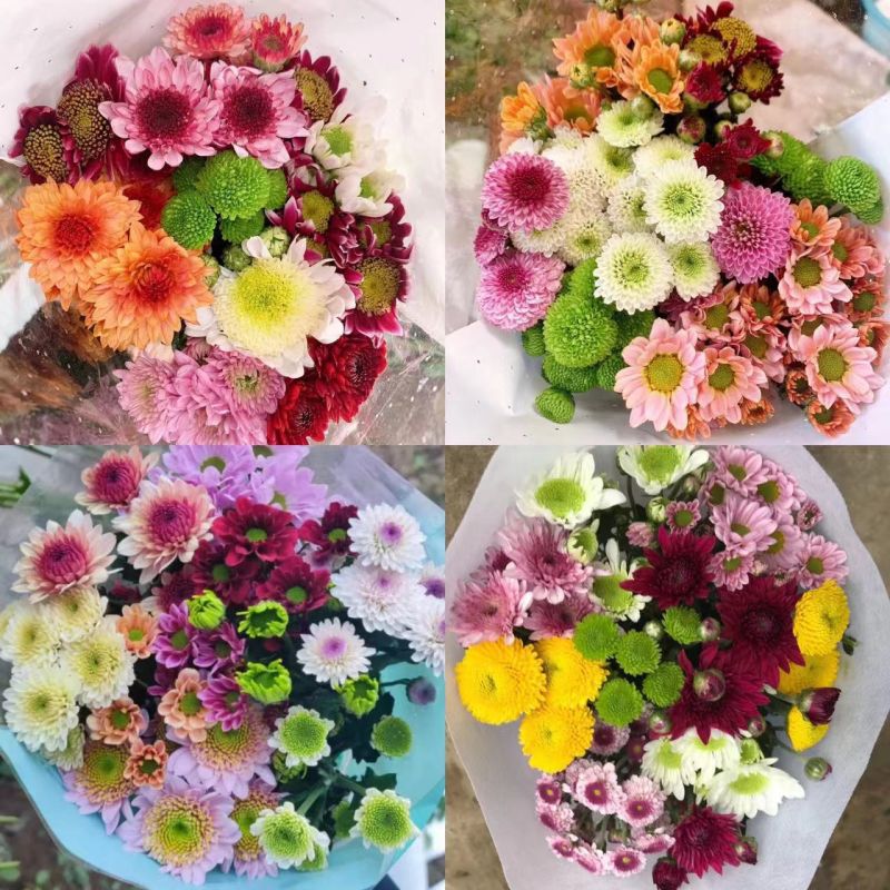 Colorful color mixing 10