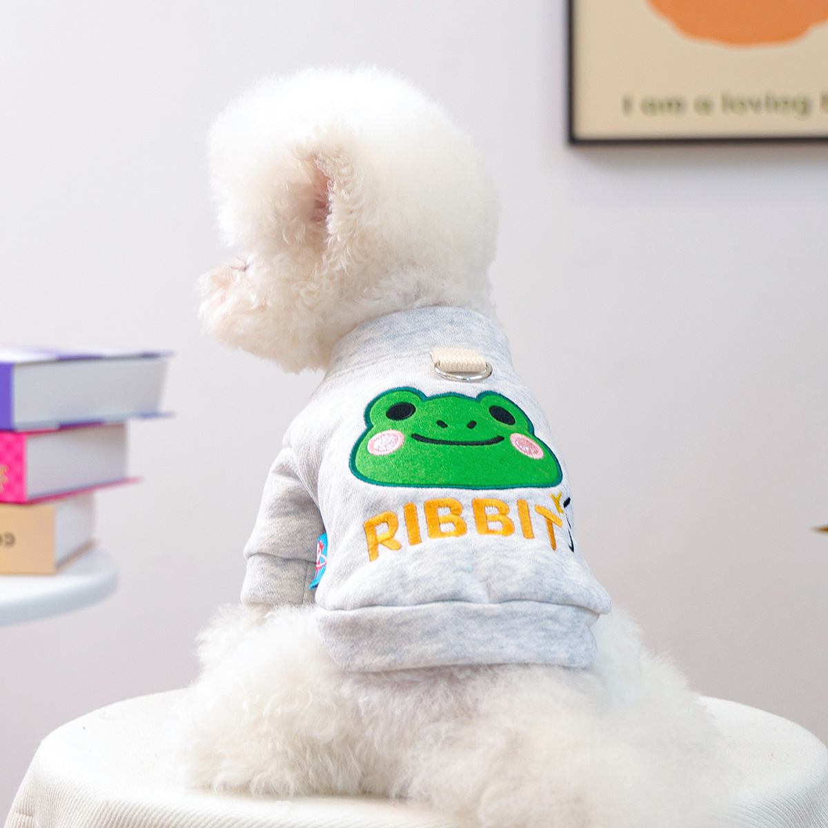 Big Head Cartoon Hoodie - Green Frog