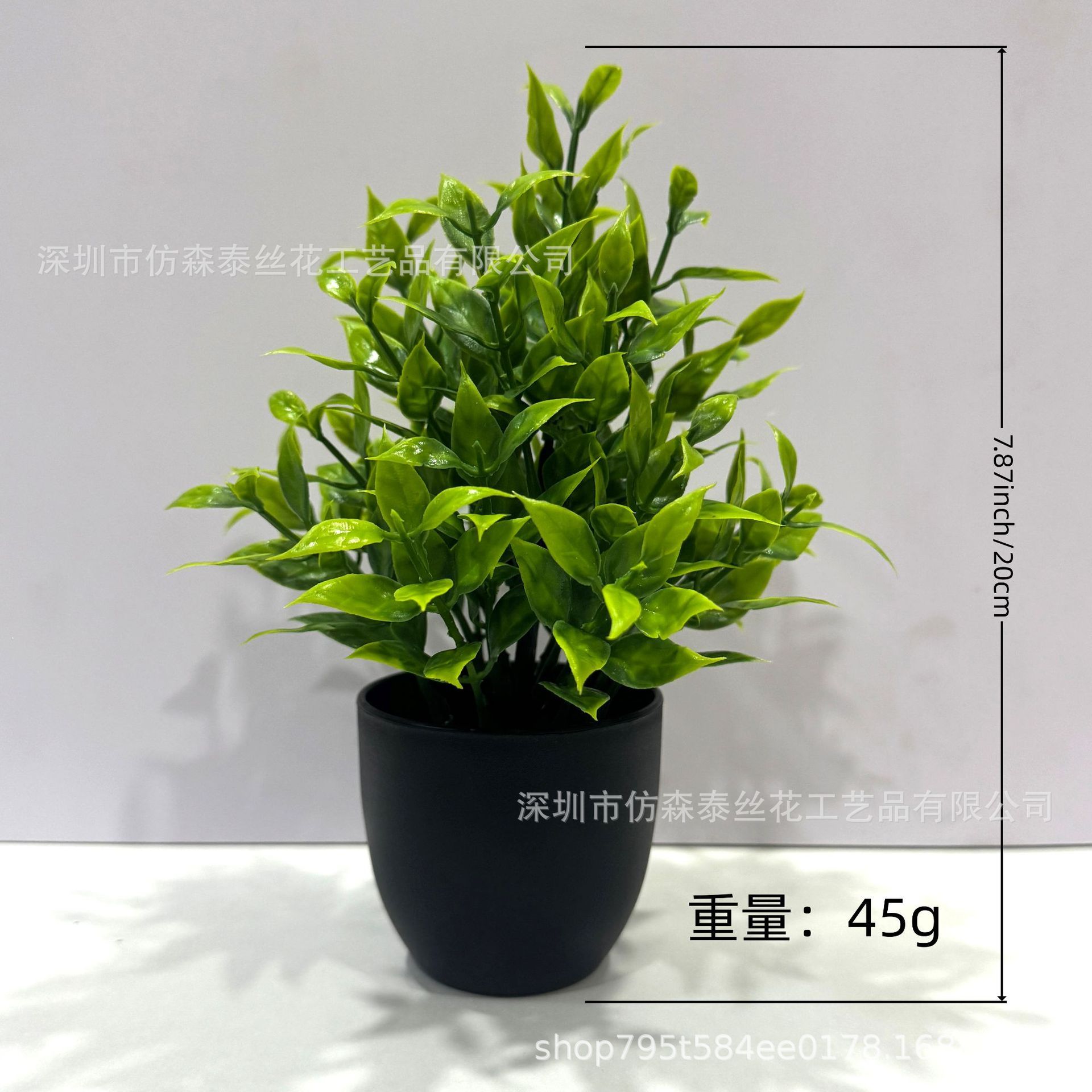 Herbe de bambou (avec pot)