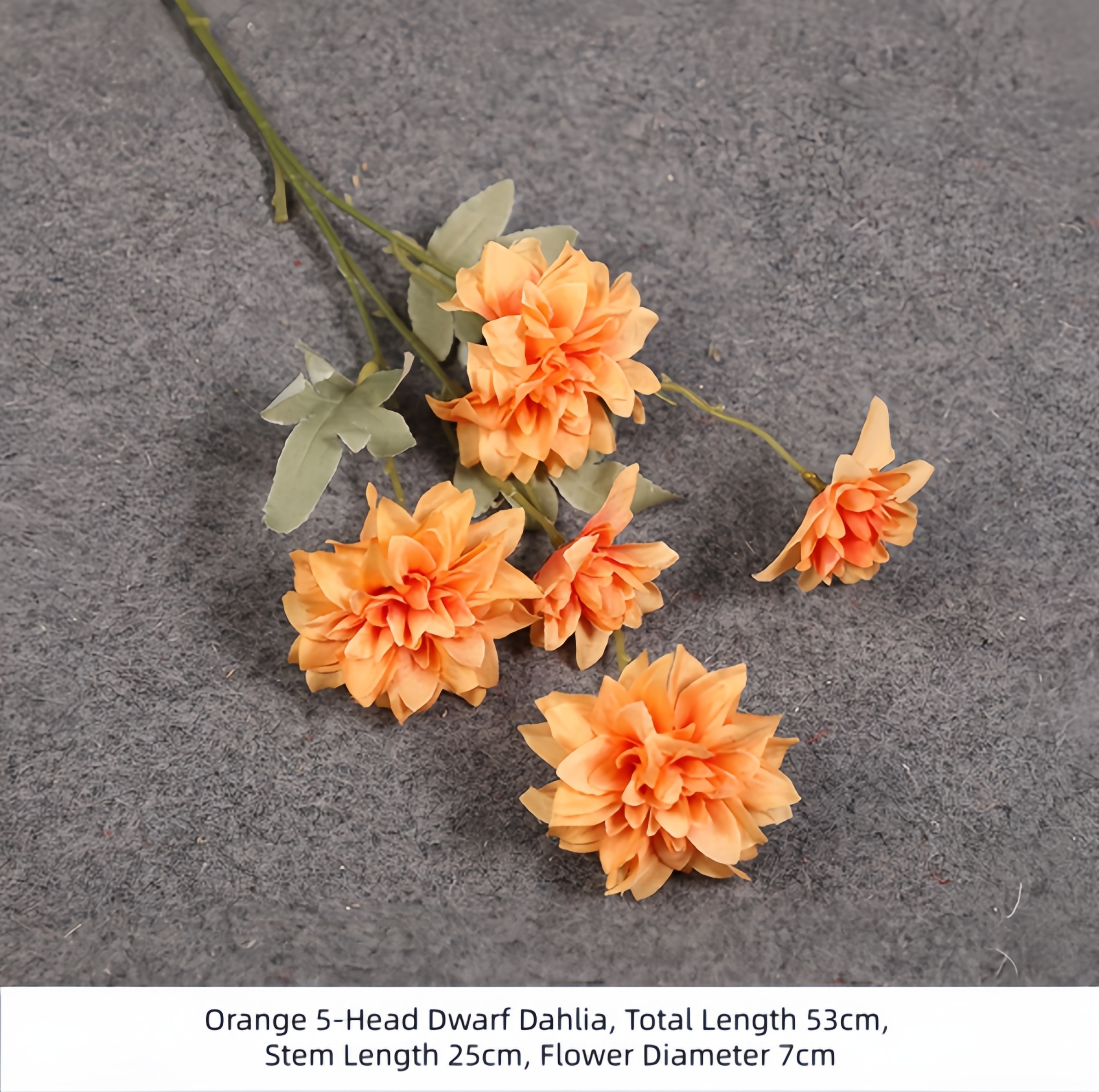 Dahlia nain orange à 5 têtes
