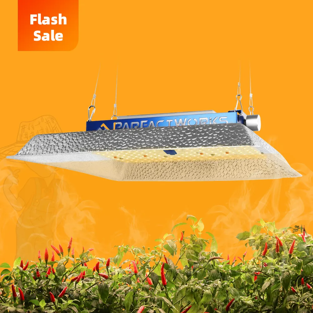 Parfactworks 57% Off Flashsale Optimizado Full Spectrum 100W 150W Mw Driver Lm301 Led Board Reflector Grow Light Panel