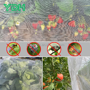 Sera tarım için HDPE UV Anti-böcek koruma bariyer Net çanta meyve ağacı çiftlik için 40 50 60 Mesh yeşil plastik ağlar - Product Image 2