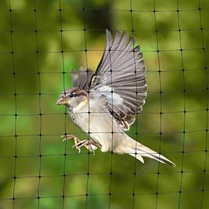 Net a portatnwt rete di alta qualità per voliera per uccelli trappola per uccelli in nylon che spara sugli uccelli - Product Image 3