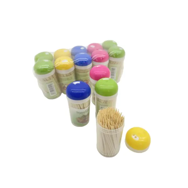 Escova de dentes de bambu eco amigável, chique, grosso, palito de dente, recipiente de plástico, biodegradável moderno
