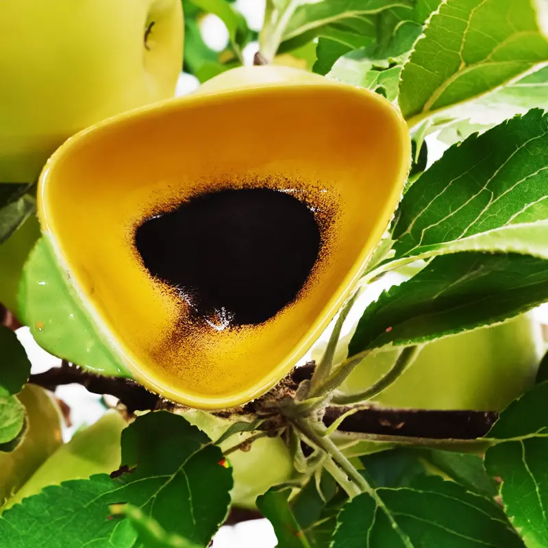 SCHECKELT GERBEIT GERBEIT GEBIDT FÜR JUNGES UND ERWICKTES BAUM GART GERBEIT