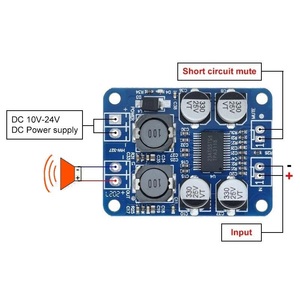 32pin Chip originale TPA3118 DC 12V-24V 60W Mono Audio digitale amplificatore scheda amplificatore - Product Image 2