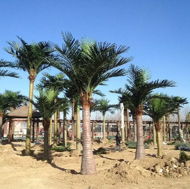 Palmeira artificial, venda direta de fábrica, decorativa, para área interna, palmeira, tronco de vidro, palmeira