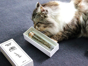 Aperitivo de alta calidad, hierba gatera, comida para gatos, 20G, con caja de color - Product Image 4
