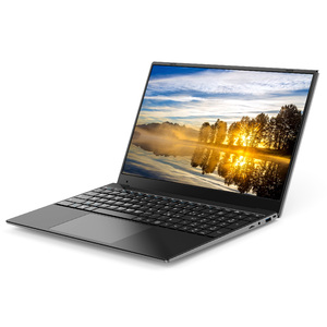 Venta al por mayor mejor 15,6 pulgadas Notebook PC Win10 Tablet Netbook con tarjeta gráfica AMD Panel IPS
