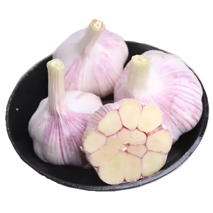 중국 공장 정상적인 백색 galic 5.0 신선한 마늘 도매 가격