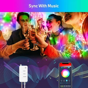 多色RGB銅LEDストリングライトスマートアプリコントロールIP67定格屋外クリスマスツリー装飾照明 - Product Image 5