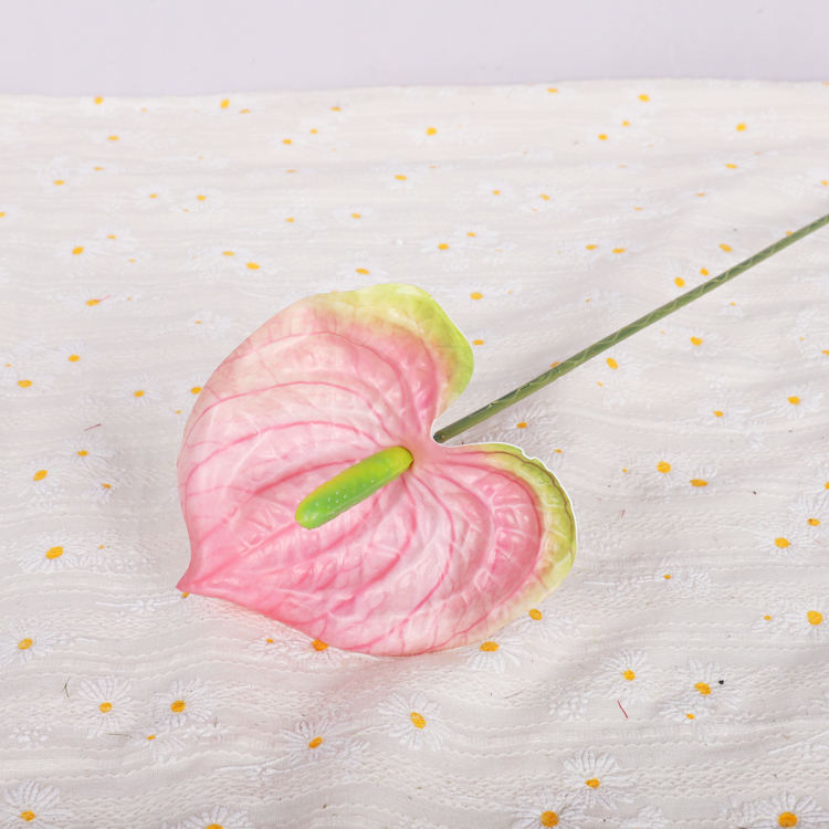 สีชมพูอ่อน