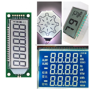 Custom Professional Medical Instrument 7-Segment <strong>LCD</strong> <strong>Display</strong> Cog Type with ST7789 Driver IC - Product Image 2