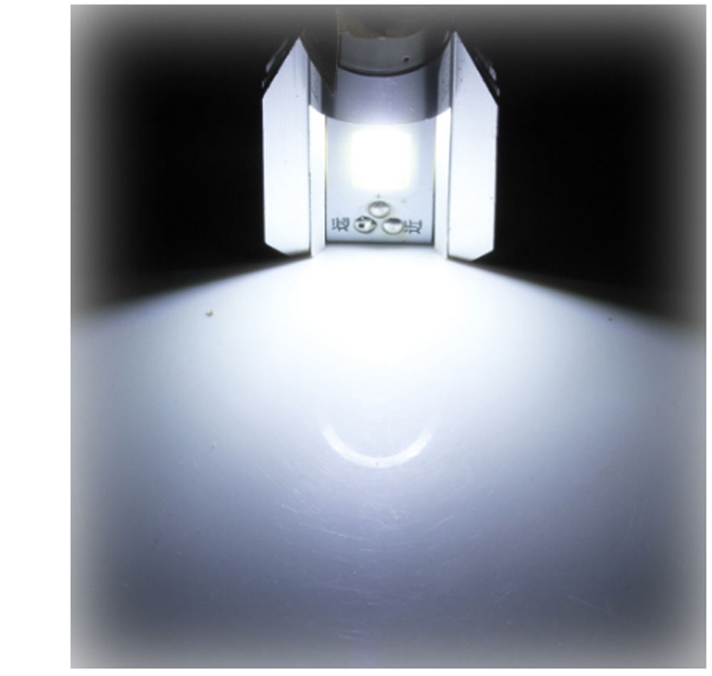 ธรรมชาติสีขาว