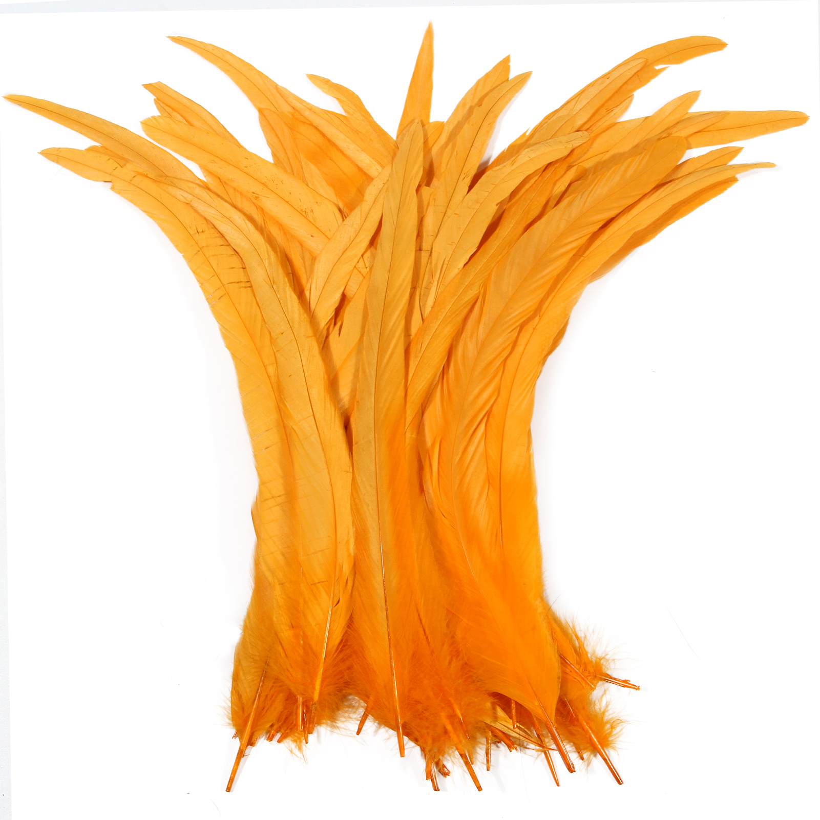 Jaune doré
