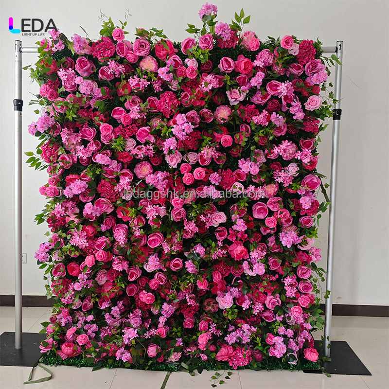 Rosa