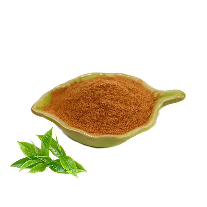 Extrato de chá verde natural de alta qualidade em pó 40%-98% extrato de polifenóis de chá em pó
