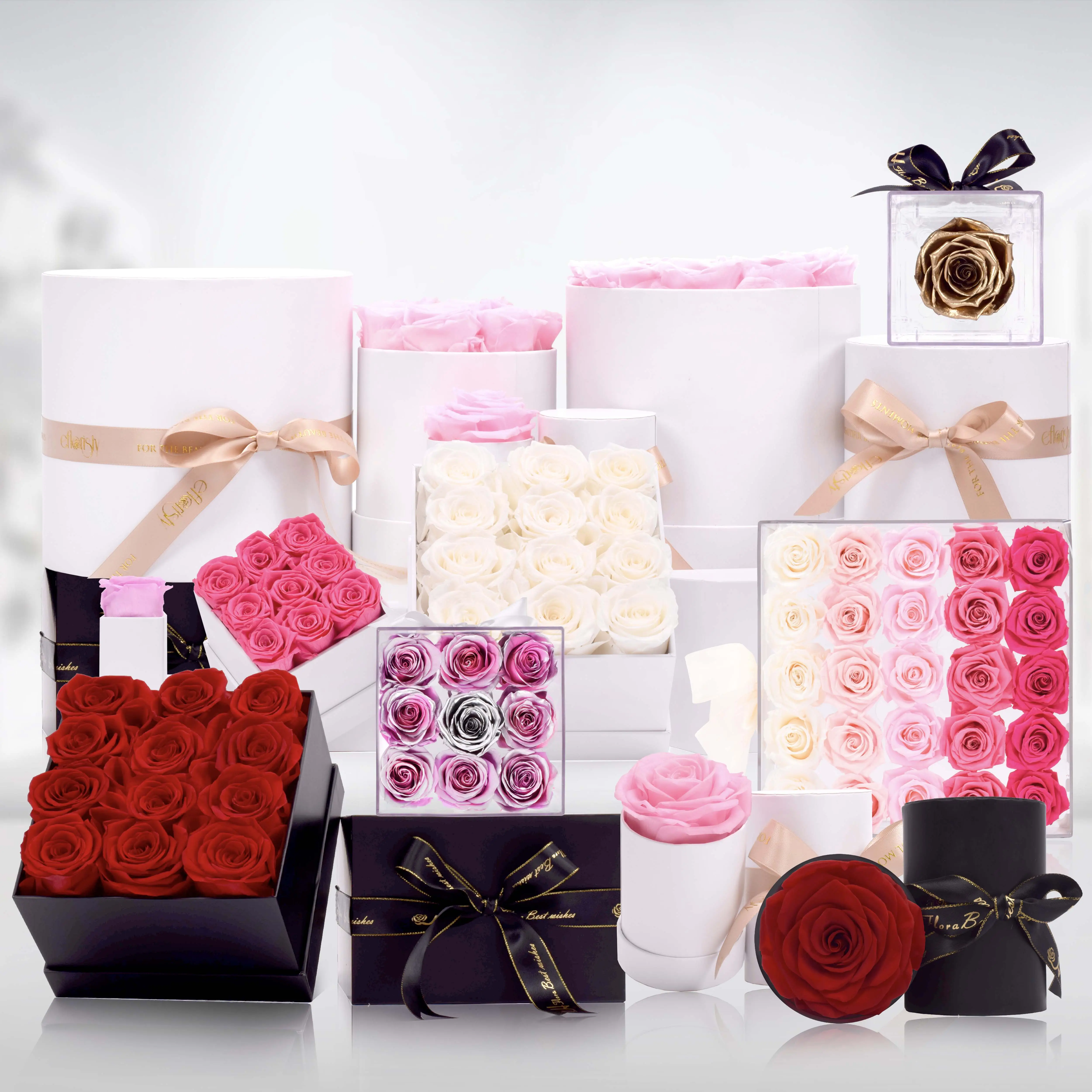 Hfloral gros saint valentin cadeau pour toujours Roses réel naturel éternel éternel Roses fleur préservée fleur Rose dans la boîte