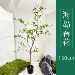 室内装飾用人工植物,新しいデザイン