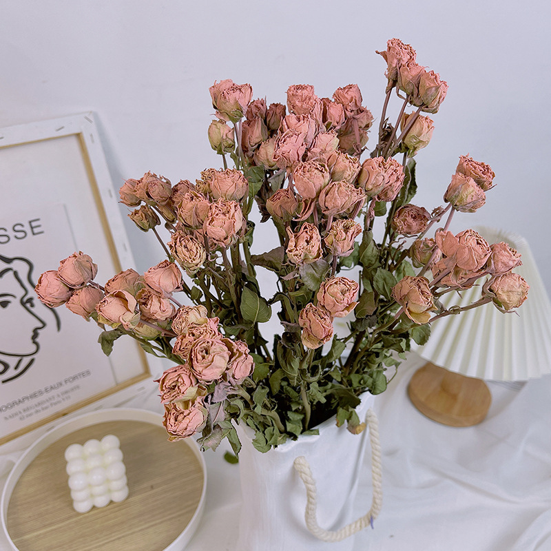 Rosa retrò rosa 10 pezzi