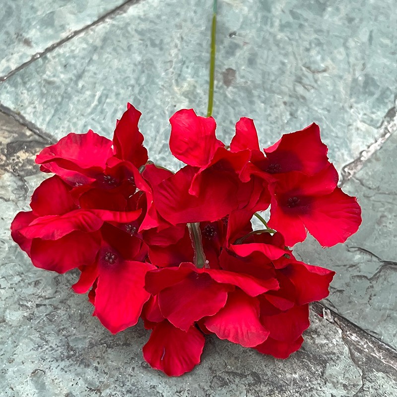 29 # unique tête hortensia rouge