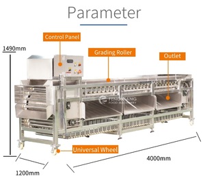 Industrial <strong>Dates</strong> <strong>Sorting</strong> <strong>Machine</strong> Plum <strong>Date</strong> Palm Fruit <strong>Sorting</strong> <strong>Machine</strong> - Product Image 2