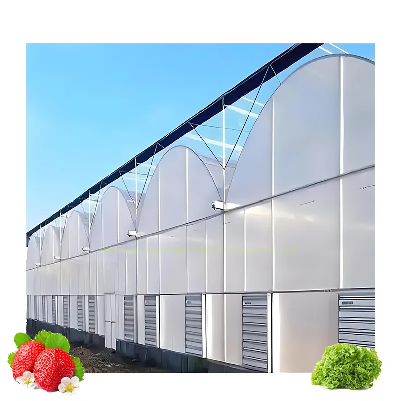 植物/花/トマト/ガーデン用プラスチックフィルム温室マルチスパンシングルスパン農業ファームトンネル