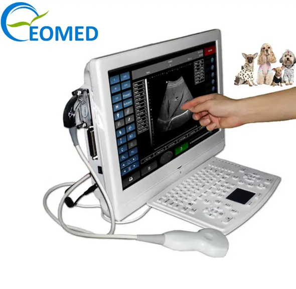 Scanner veterinário barato, melhor preço de venda, animal, b/w, ultrassom portátil, sonar, transdores, máquina bw08vet