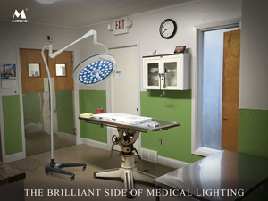 カメラ付き天井操作センサーライトLed外科用ランプ獣医用手術室ライト用LEDライト - Product Image 2