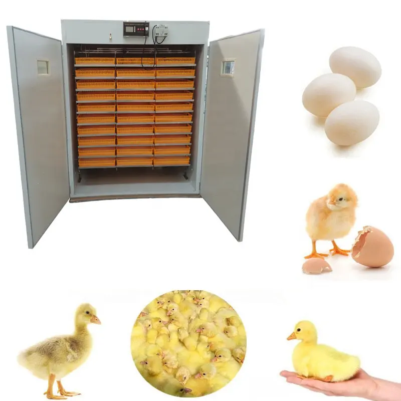 Incubadora de huevos de pato y pollo, sistema de energía solar con bandeja pequeña industrial ully automática, máquina para incubar y incubar 1056 huevos