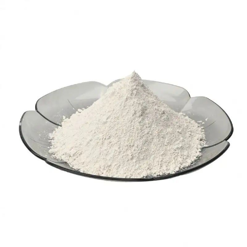 Carbonato de calcio biológico Caco3 CAS 13397-25-6 Polvo blanco Polvo de grado alimenticio Tiza Bicarbonato de calcio