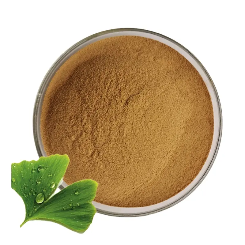 Factory Supply 24% Flavone Glycosiden Plus 6% Terpeen Lactones Ginkgo Biloba Extract