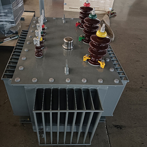 Trasformatori di olio trifase 10kV ingresso 380V uscita 50/60Hz frequenza 400V & 69kV capacità di uscita - Product Image 5