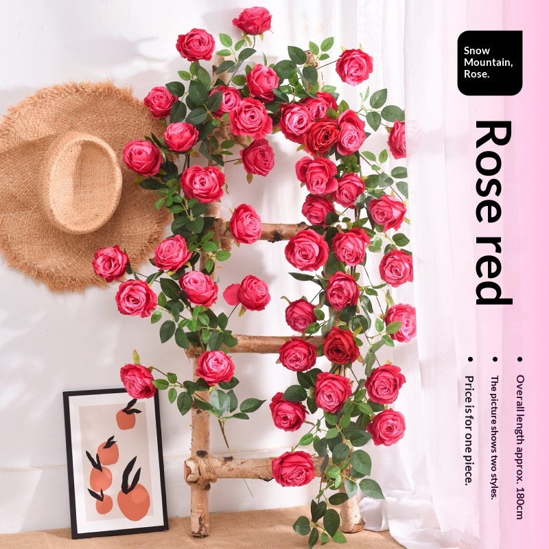Rose rouge