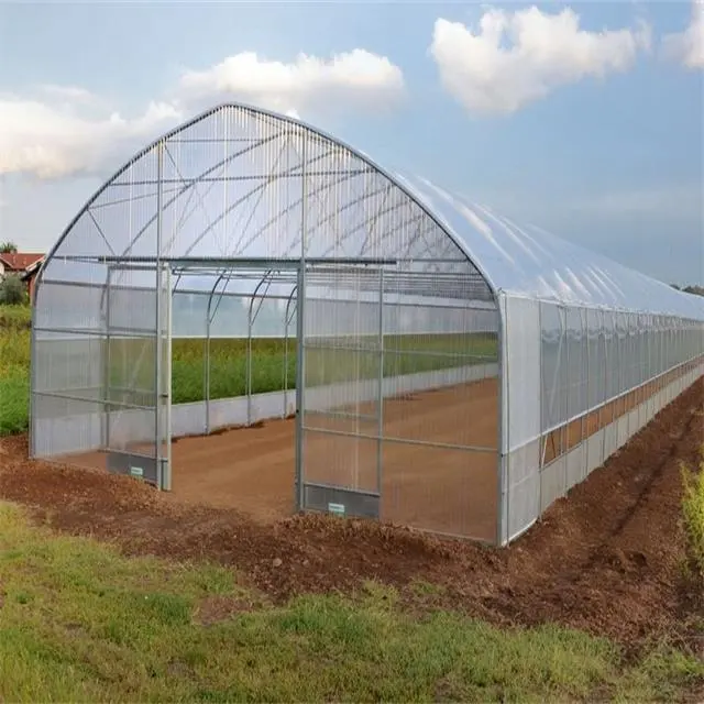 Filme plástico grande do túnel feito sob encomenda, projeto de chave de greenhouse para tomate e morango