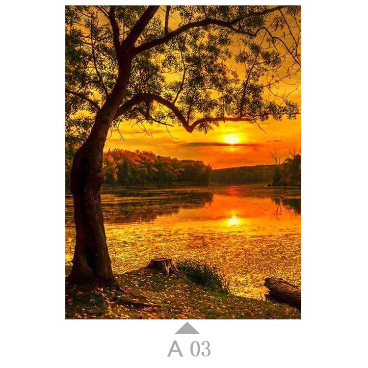Multicolor-A03