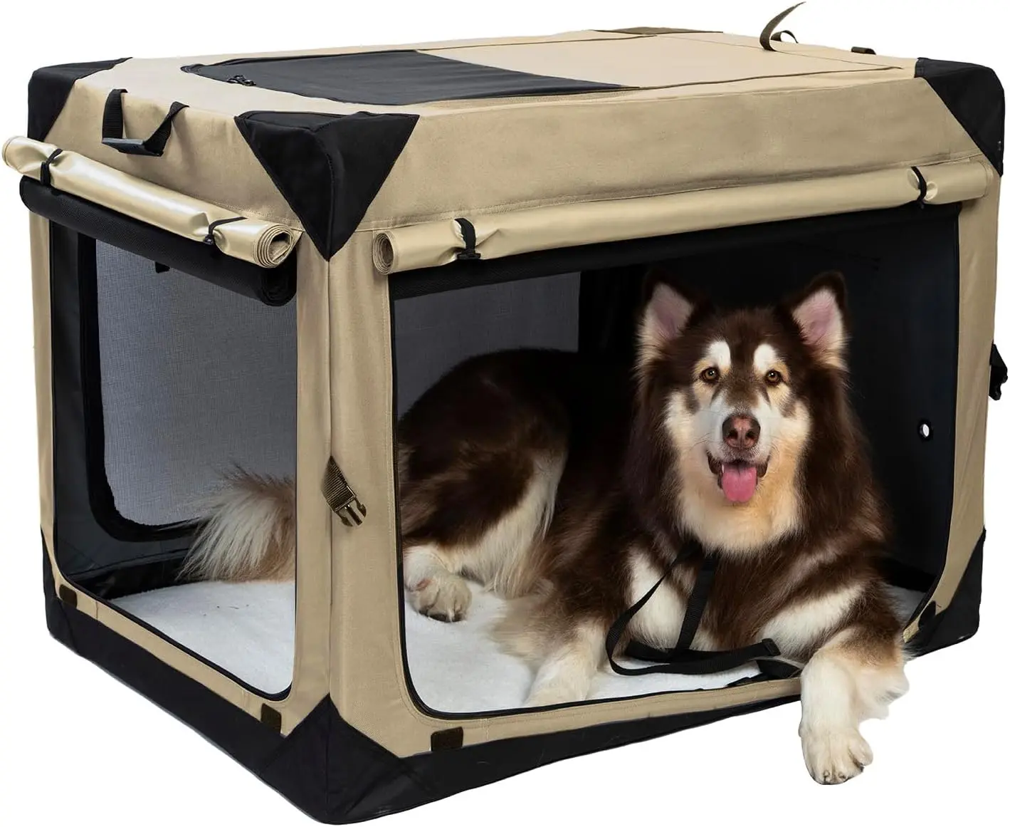 Portaanimali da viaggio Deluxe per cani di piccola taglia con ruote zaino con Logo personalizzato con chiusura a cintura per cani di piccola taglia